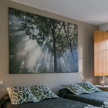 Apartamento Con Terraza *