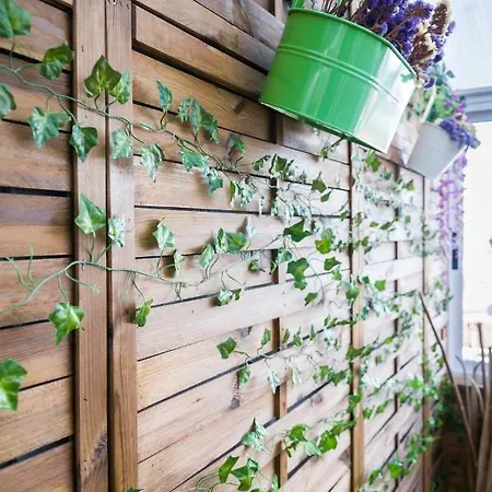 Apartamento Con Terraza Appartamento San Giacomo di Compostella